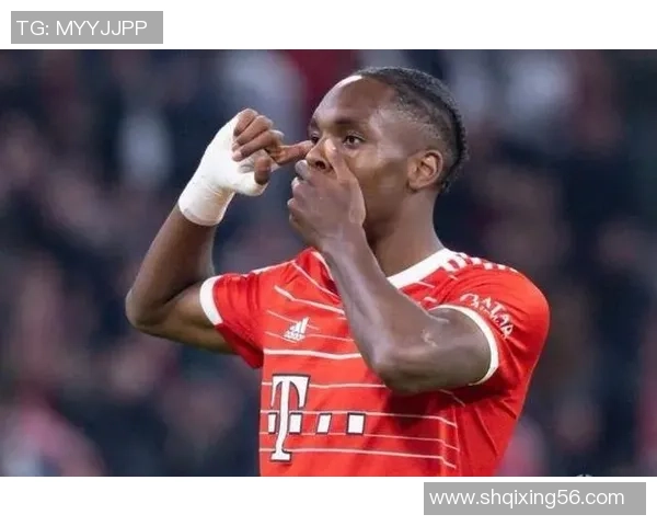 以足球界著名带尔字的球星为核心探讨其传奇经历与成就