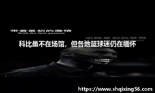 3377体育官网