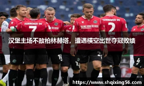 3377体育官网