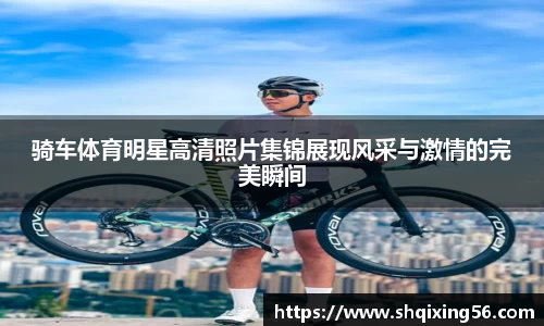 3377体育官网