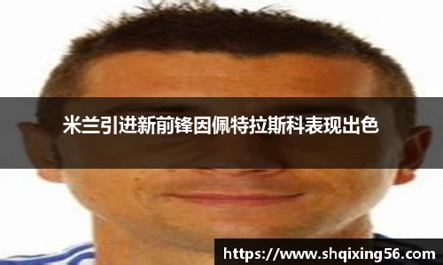 3377体育首页