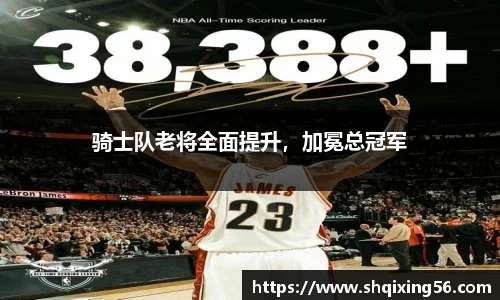 3377体育官网