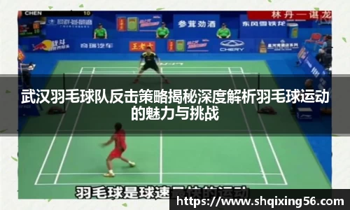 3377体育官网