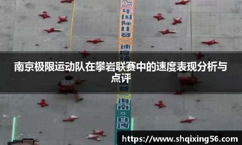 3377体育官网