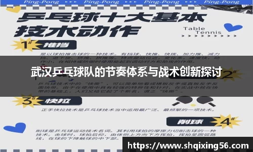 3377体育