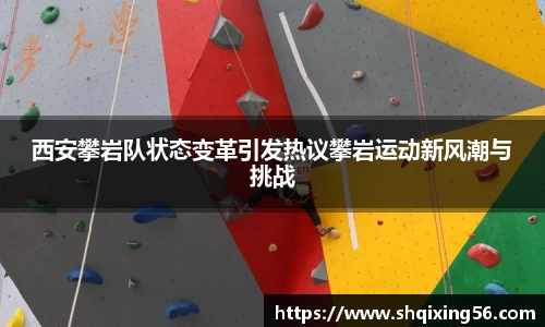 3377体育官网