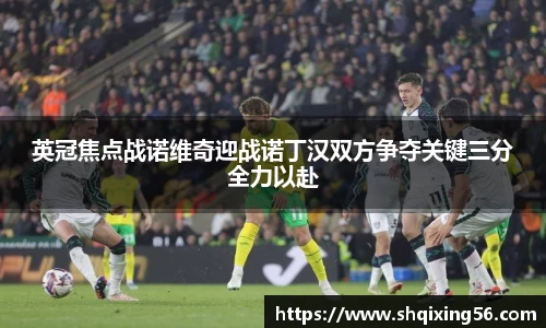 3377体育官网