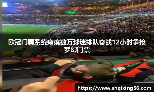欧冠门票系统瘫痪数万球迷排队奋战12小时争抢梦幻门票
