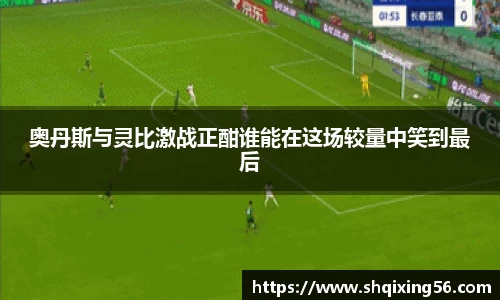 3377体育官网