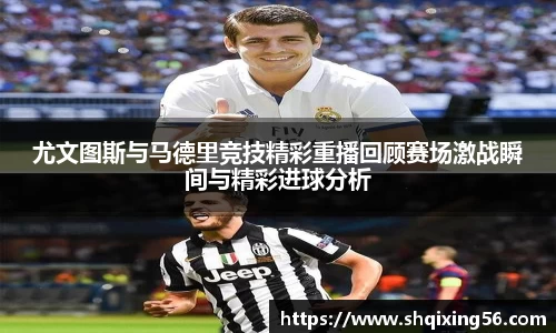 3377体育官网