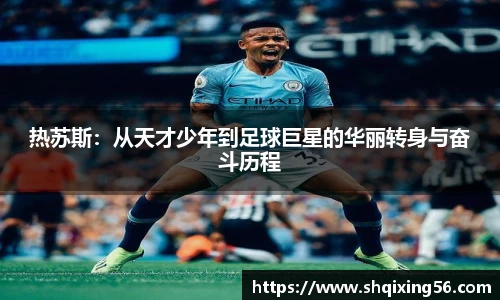 3377体育官网